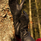 Falcon Gloves