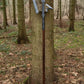 Kings Guard Halberd 74.8 in