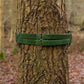 Twin Belt