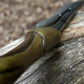 Wood Elf Dagger